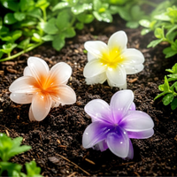 Pack of 3 Floral Hair Clip (Orange+Yellow+Purple)